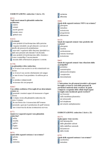 ESERCITAZIONE: