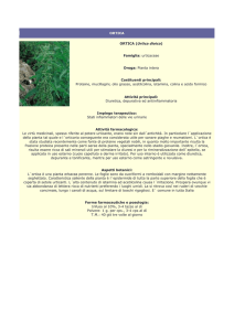ortica - Farmacia S. Antonio – Brescia