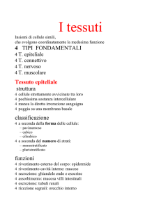 I Tessuti - Digilander