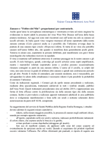 Zanzare e "Febbre del Nilo": prepariamoci per contrastarle. Anche