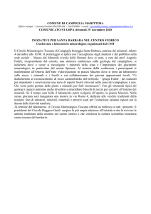COMUNICATO STAMPA di lunedì 29 novembre 2010