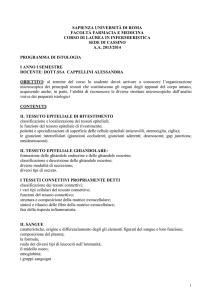programma del corso