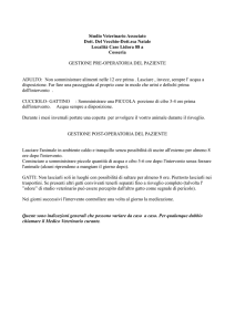 Gestione pre e post operatoria