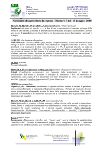 pantanello n. 7 del 13 maggio 2010