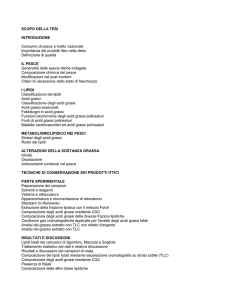 SCOPO DELLA TESI