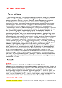 Appunti (2008) Elenuccia87 - Digilander