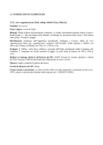 1 - Rete Ecologica Basilicata
