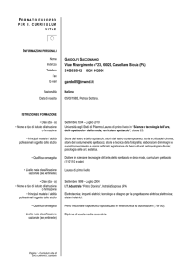 curriculum - Comune di Castellana Sicula