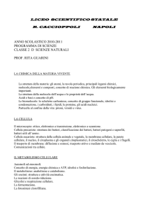 La divisione cellulare negli organismi procarioti.