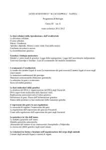 LICEO SCIENTIFICO “ R.CACCIOPPOLI “ NAPOLI Programma di