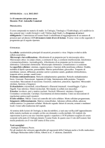 istologia - Università degli Studi di Roma "Tor Vergata"