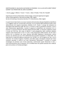 identificazione di una nuova mutazione in posizione -52 (g->a)