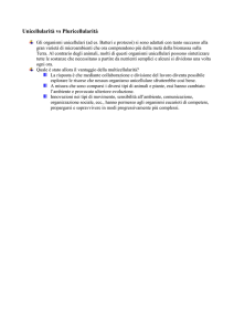 Vantaggi della pluricellularità