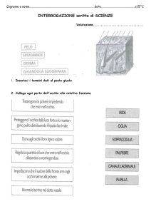 Interrogazione scritta VISTA e TATTO