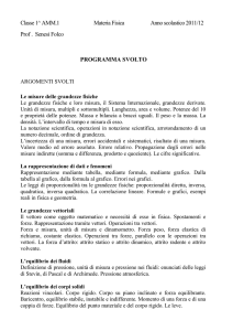 programma svolto