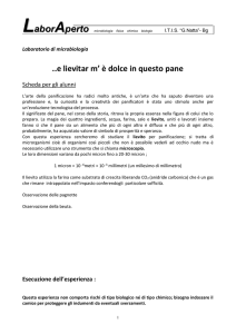 evoluzione evoluzione organismi