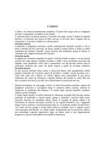 05_L_Udito