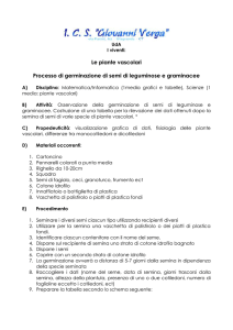 Scuola Media