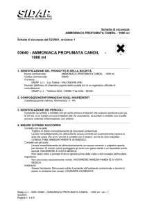 Safety Data Sheet (P1, IT, ITA, 1.0)