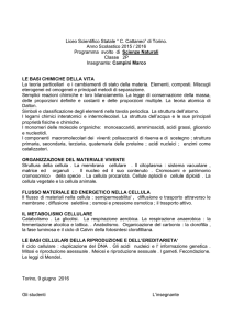 Prog. 2P 2015-2016 scienze