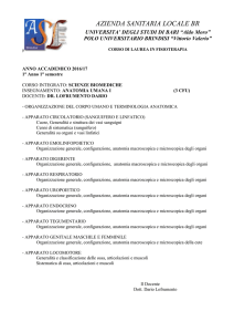 Anatomia Umana I
