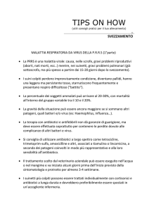 Malattia respiratoria da virus della p.r.r.s. – 1 parte
