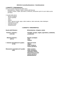 Attività di concettualizzazione / tematizzazione