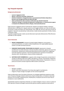 One Page Profile - Strategie di Marketing, Consulenza di direzione