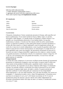 Lavoro di gruppo Sulla base delle indicazioni date, 1. rendere