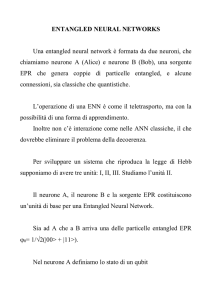 Entangled Neural Networks