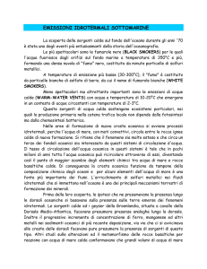 Circolazione idrotermale del fondo