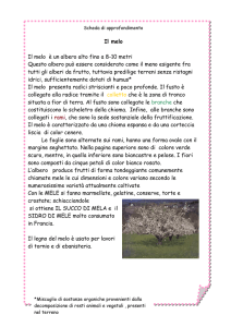 Scheda di approfondimento
