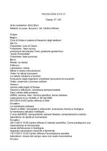 Classe: 2ª LUC