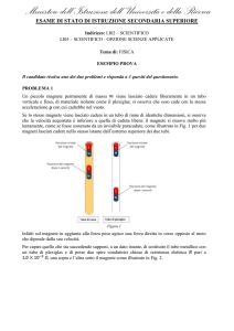 versione per studenti