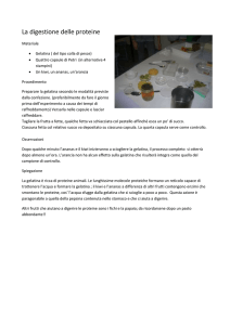 La digestione delle proteine