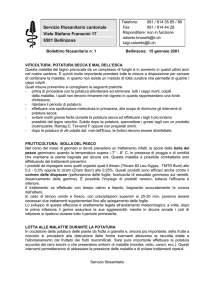 Potatura 15.01.2001 - Frutticoltura: bolla del pesco Viticoltura