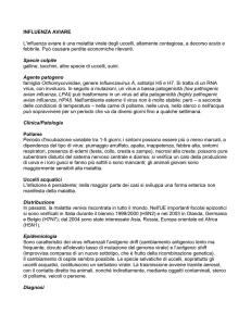 Descrizione malattia - Cooperativa Agricola del Bidente Società