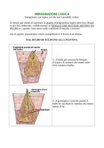 immaginazione logica