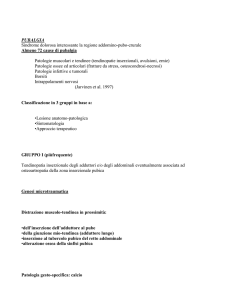 pubalgia - FisioLaserSport