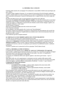 La Memoria nell`anziano