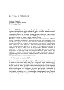 la storia di cetuximab
