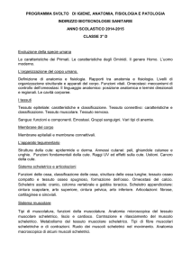Igiene_anatomia_3D