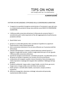 Fattori che influenzano l`efficienza della conversione