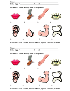 8th. grade - fai adesso - il corpo - match vocab to