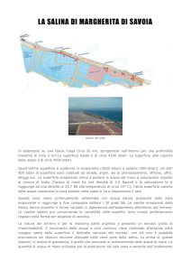 LA SALINA DI MARGHERITA DI SAVOIA
