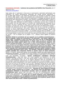 Sintesi audizione presidente ANIEM