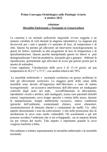 Mortalità Embrionale e Neonatale in Canaricoltura