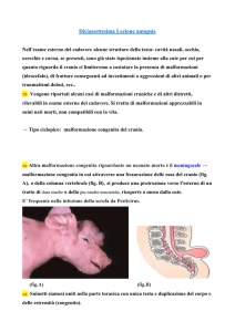 Diciassettesima Lezione Autopsie