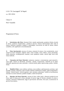 L.S.S. “R. Caccioppoli” di Napoli a.s. 2013