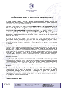 Cipolle di Cannara, la - Università degli Studi di Perugia